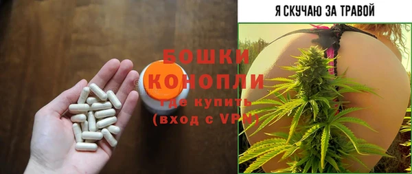 PSILOCYBIN Алзамай