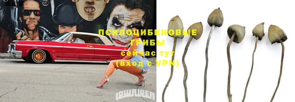 PSILOCYBIN Алзамай