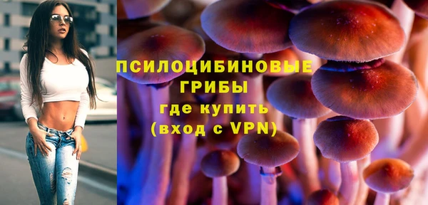 мескалин Алексин