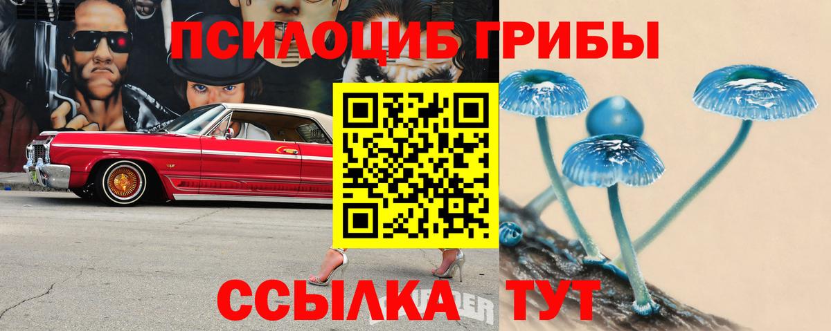 Галлюциногенные грибы Psilocybine cubensis Углич
