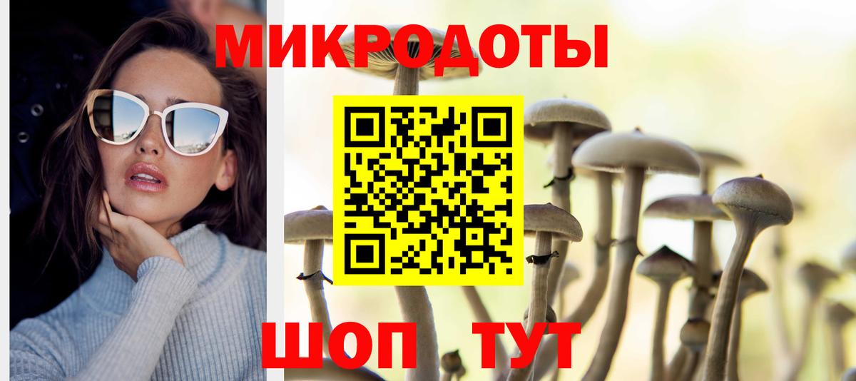 Углич  Галлюциногенные грибы Psilocybe  наркошоп  Вход с VPN  Галлюциногенные грибы прущие грибы 